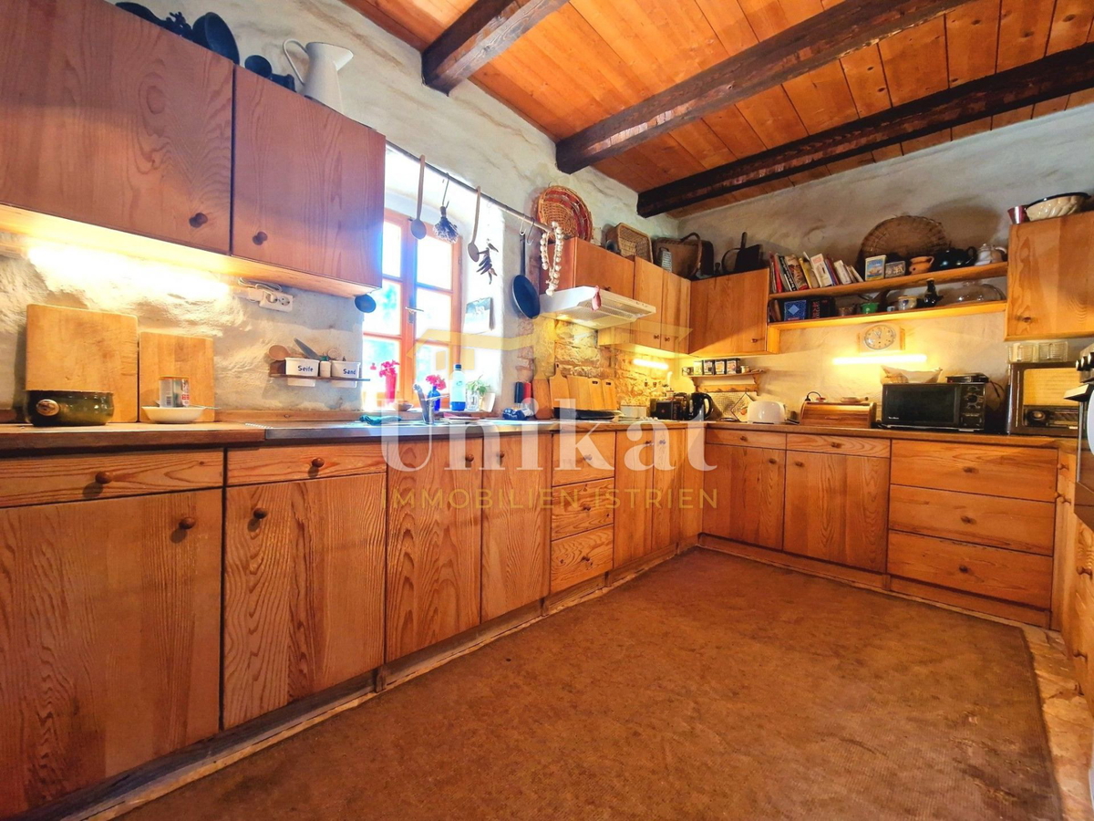 Avtentično posestvo s kamnito hišo in velikim zemljiščem